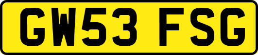 GW53FSG