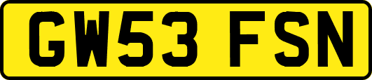 GW53FSN