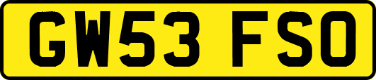 GW53FSO
