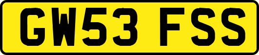 GW53FSS