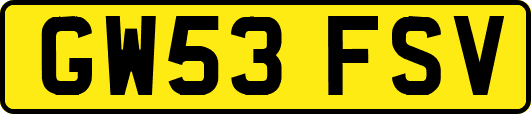 GW53FSV