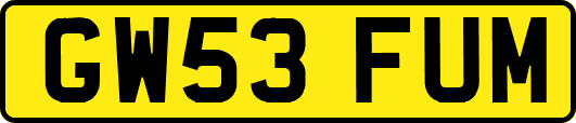 GW53FUM