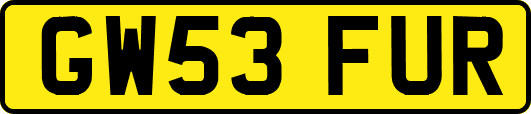GW53FUR