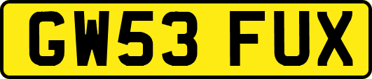 GW53FUX
