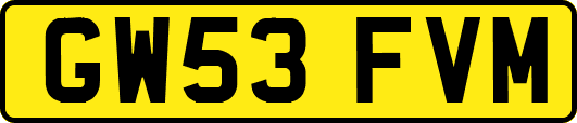 GW53FVM