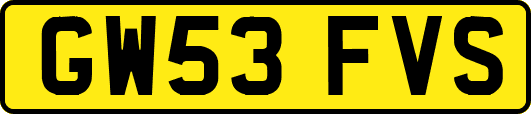 GW53FVS
