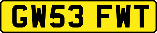 GW53FWT