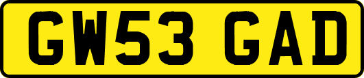 GW53GAD