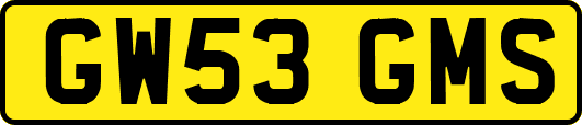 GW53GMS