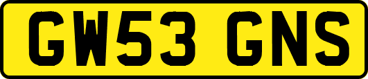 GW53GNS