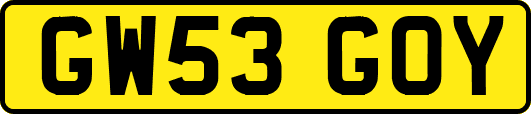 GW53GOY