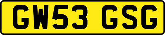 GW53GSG