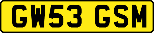 GW53GSM