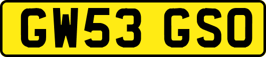 GW53GSO