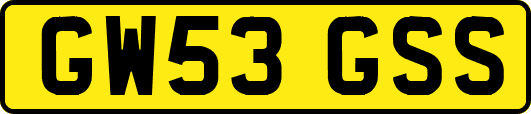GW53GSS
