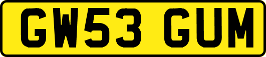 GW53GUM