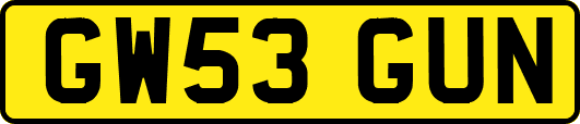 GW53GUN