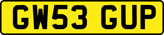GW53GUP