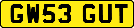 GW53GUT