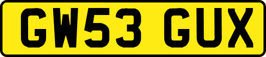 GW53GUX