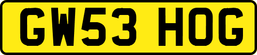 GW53HOG