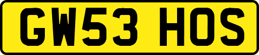 GW53HOS