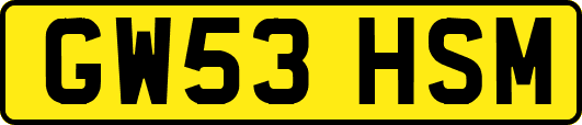 GW53HSM