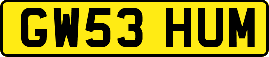 GW53HUM