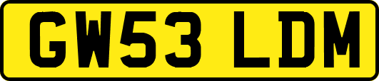 GW53LDM