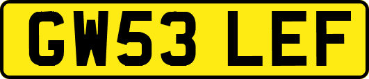 GW53LEF