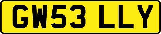 GW53LLY