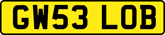 GW53LOB