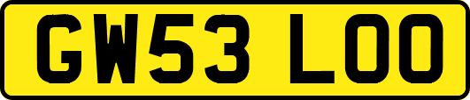 GW53LOO