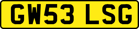 GW53LSG