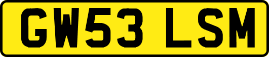 GW53LSM