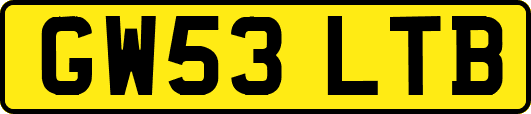 GW53LTB
