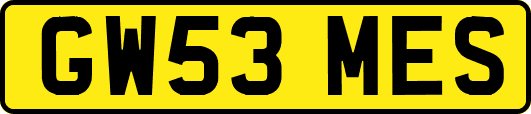 GW53MES