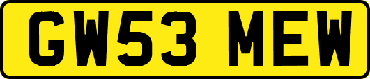 GW53MEW