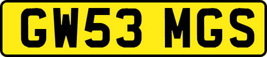 GW53MGS