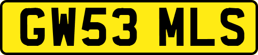 GW53MLS
