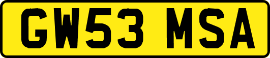 GW53MSA