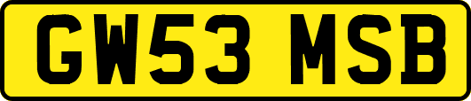 GW53MSB