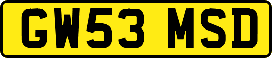 GW53MSD