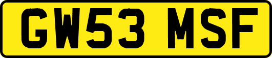 GW53MSF