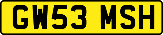 GW53MSH