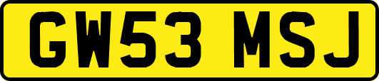 GW53MSJ