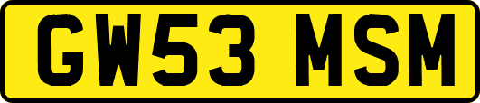 GW53MSM