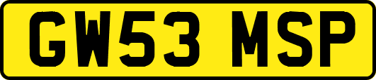 GW53MSP