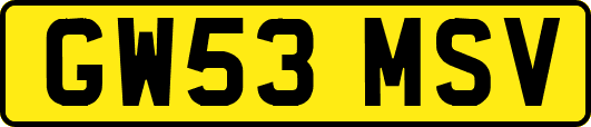 GW53MSV