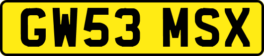 GW53MSX